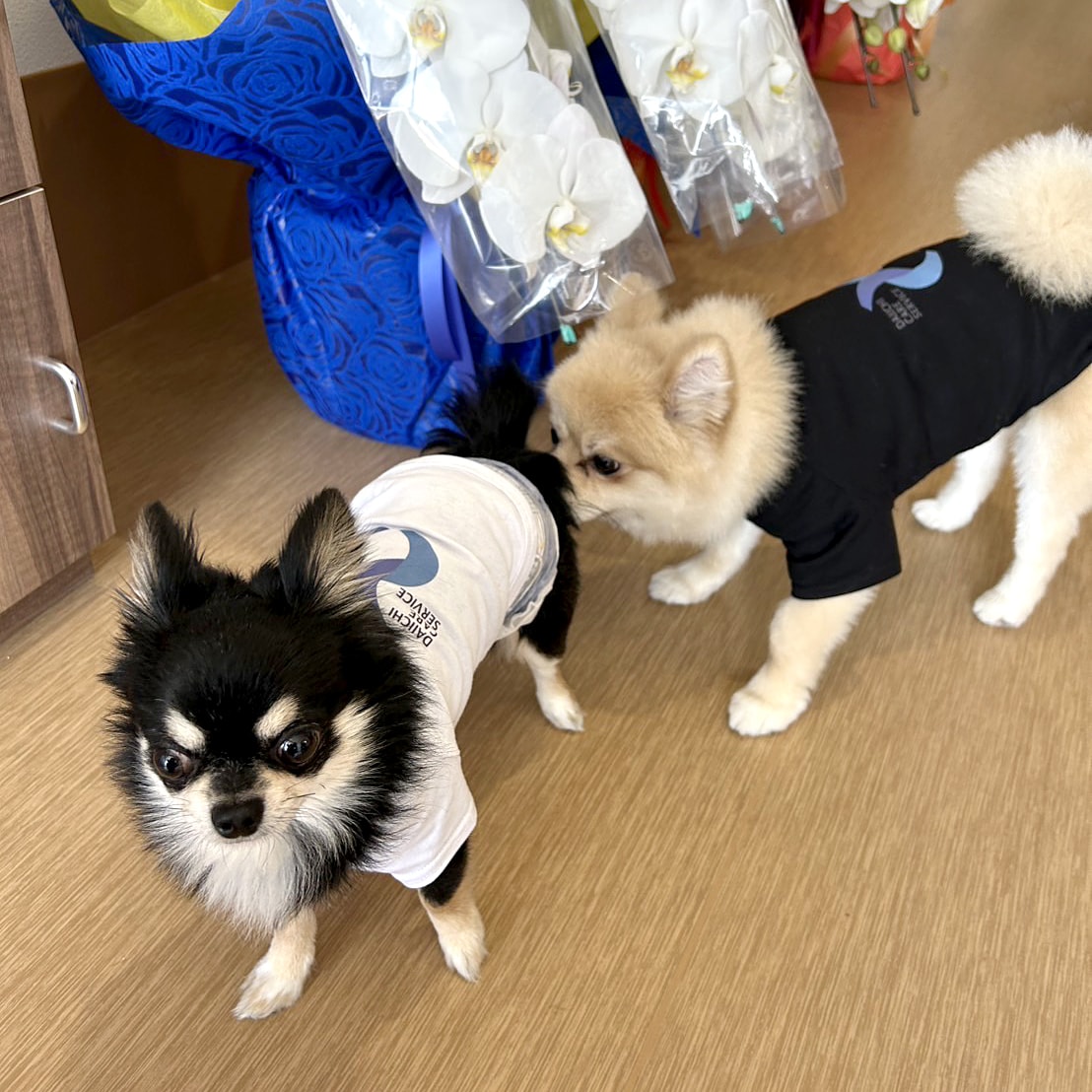第一ケアサービスのマスコット犬